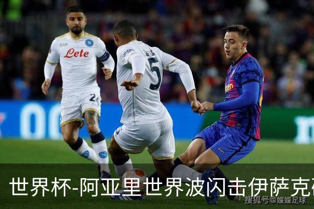世界杯-阿亚里世界波闪击伊萨克破门 半场瑞典2-1突尼斯