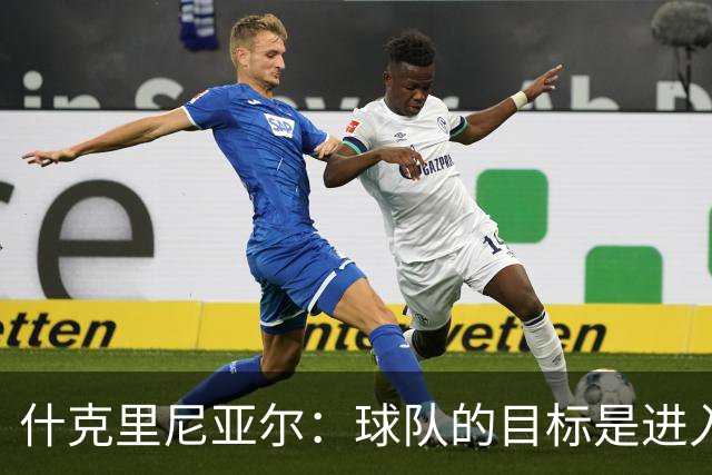 什克里尼亚尔：球队的目标是进入欧冠联赛，为此我们会尽最大努力