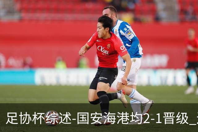 足协杯综述-国安海港均2-1晋级 辽宁浙江天津3中超队出局