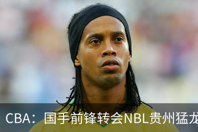 CBA：国手前锋转会NBL贵州猛龙，王少杰前往江苏男篮，吉林大将签约宁波，胡金秋预计留队
